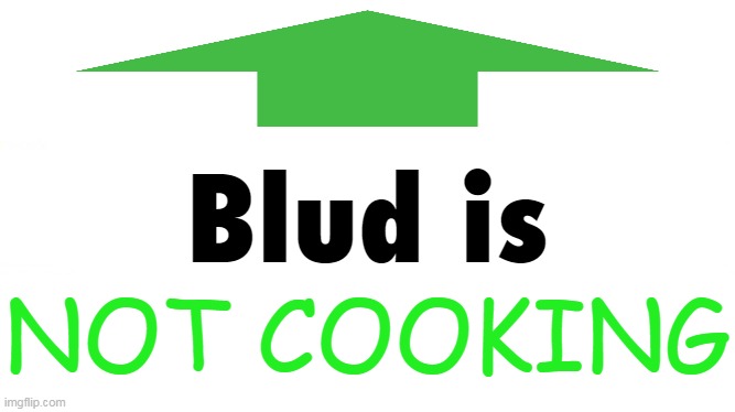 Blud is NOT COOKING | image tagged in blud is not cooking | made w/ Imgflip meme maker