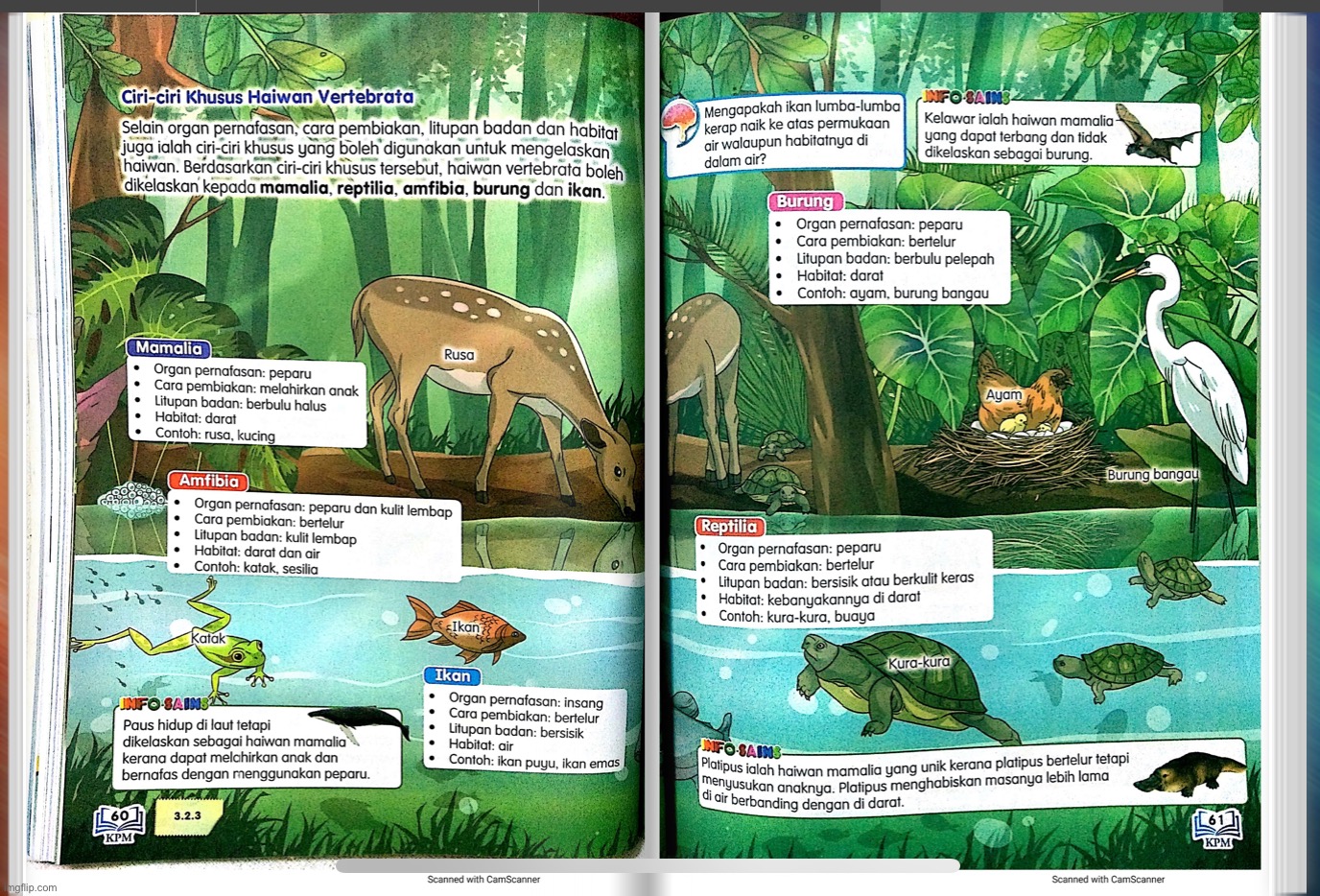 who would be nice enough to translate this | made w/ Imgflip meme maker