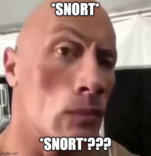 The Rock Eyebrows | *SNORT* *SNORT*??? | image tagged in the rock eyebrows | made w/ Imgflip meme maker