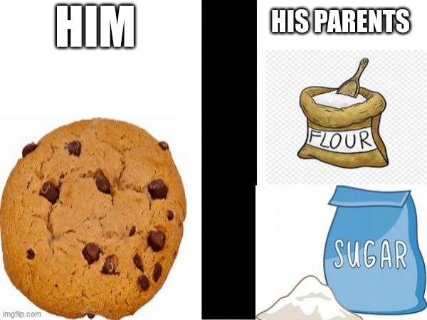 How Cookies are Made. | image tagged in cookies,origin | made w/ Imgflip meme maker