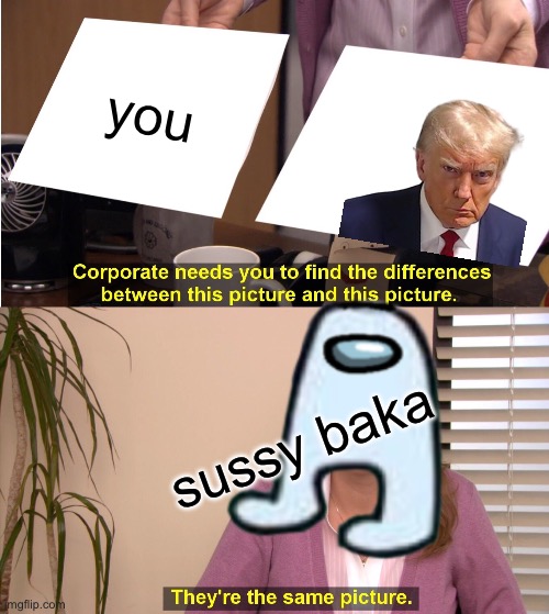 amogus says ur trump | you; sussy baka | image tagged in memes,they're the same picture,trump | made w/ Imgflip meme maker