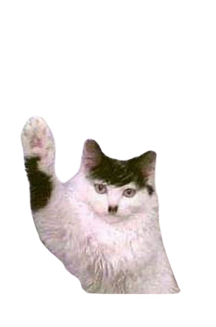 Kitler Blank Meme Template