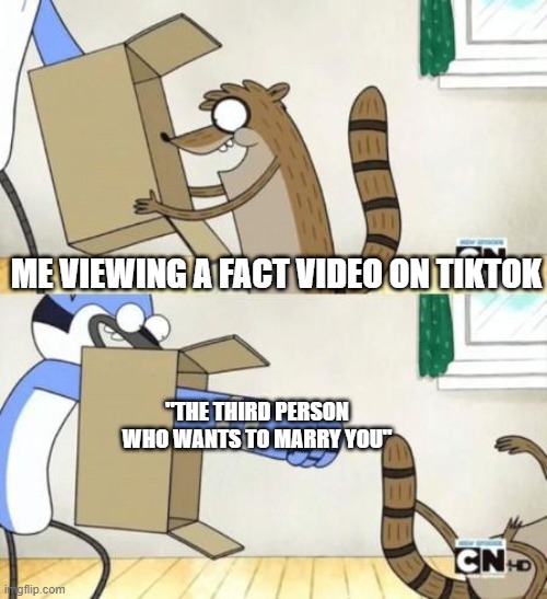 I swear at this point, it should be expected. | ME VIEWING A FACT VIDEO ON TIKTOK; "THE THIRD PERSON WHO WANTS TO MARRY YOU" | image tagged in punch box | made w/ Imgflip meme maker