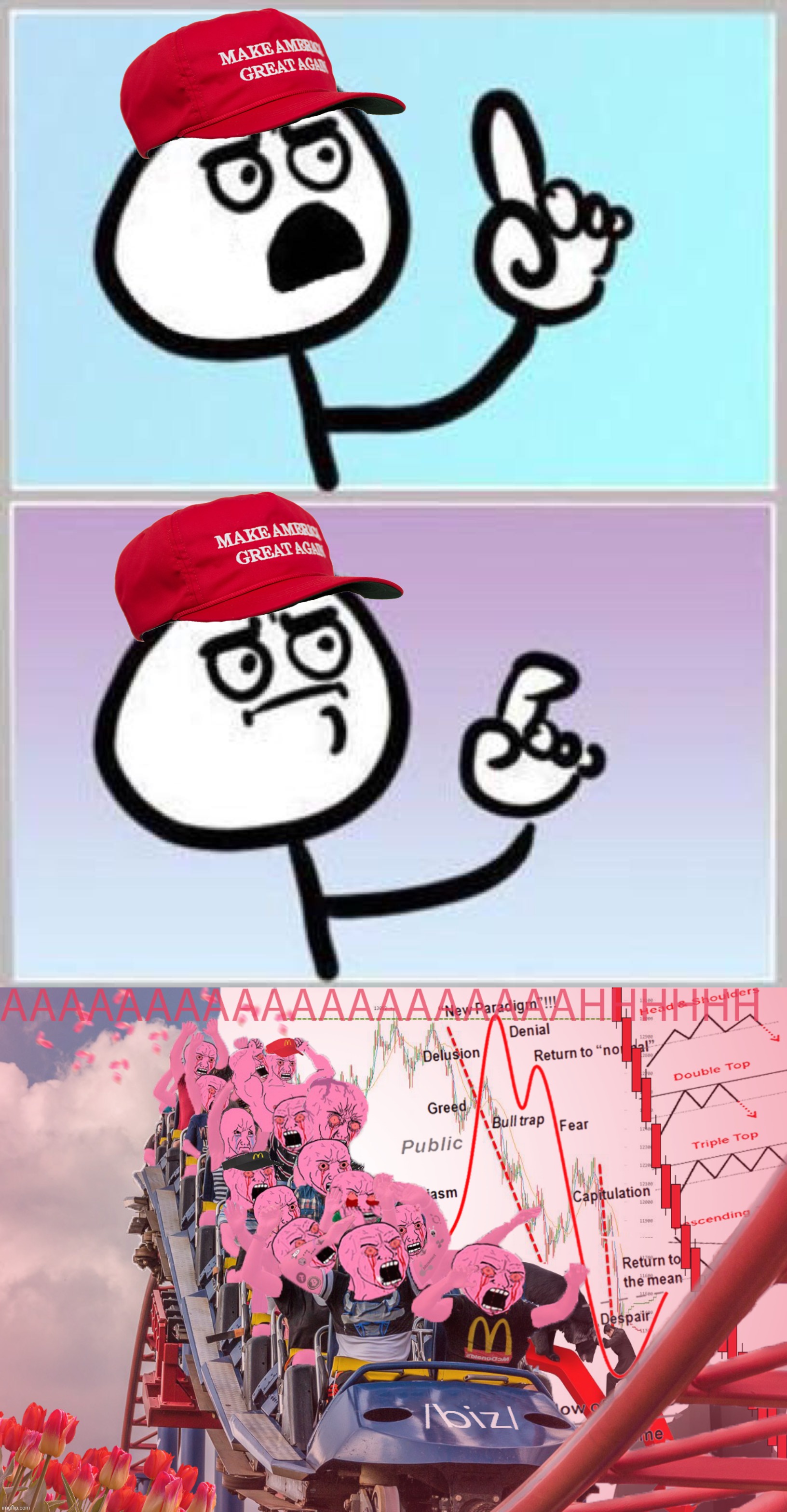 image tagged in wait what,pink wojak roller-coaster | made w/ Imgflip meme maker