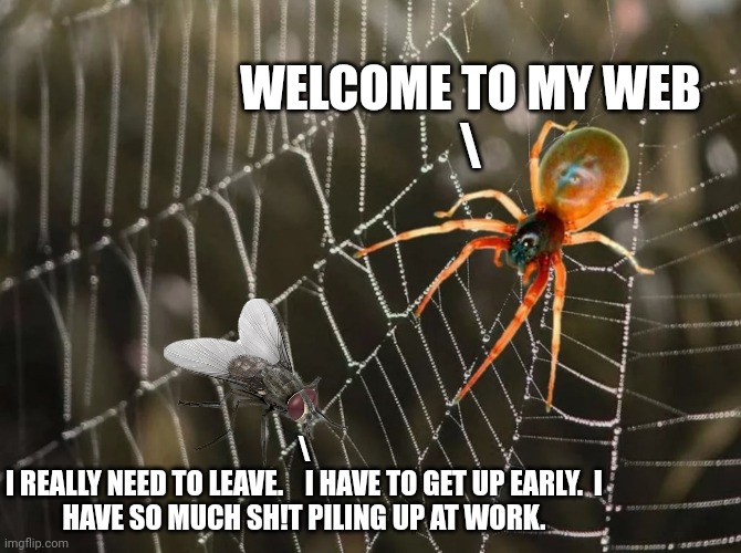 Spider On The Web | WELCOME TO MY WEB
\ \
I REALLY NEED TO LEAVE.    I HAVE TO GET UP EARLY.  I HAVE SO MUCH SH!T PILING UP AT WORK. | image tagged in spider on the web | made w/ Imgflip meme maker