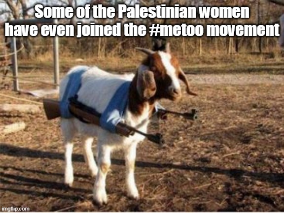 Some of the Palestinian women have even joined the #metoo movement | made w/ Imgflip meme maker