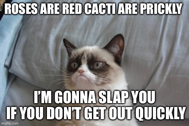 Grumpy is a poet | ROSES ARE RED CACTI ARE PRICKLY; I’M GONNA SLAP YOU
 IF YOU DON’T GET OUT QUICKLY | image tagged in memes,grumpy cat bed,grumpy cat | made w/ Imgflip meme maker