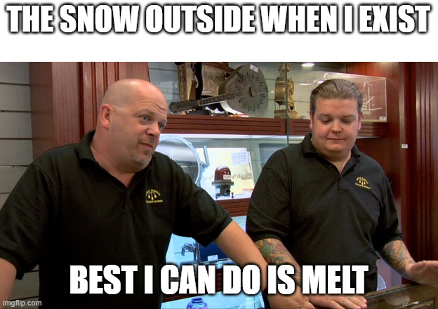 Happy snow everyone! | THE SNOW OUTSIDE WHEN I EXIST; BEST I CAN DO IS MELT | image tagged in pawn stars best i can do | made w/ Imgflip meme maker