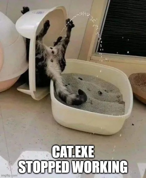 cat.exe | CAT.EXE STOPPED WORKING | image tagged in fun,cat | made w/ Imgflip meme maker