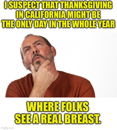 Reality | I SUSPECT THAT THANKSGIVING IN CALIFORNIA MIGHT BE THE ONLY DAY IN THE WHOLE YEAR; WHERE FOLKS SEE A REAL BREAST. | image tagged in hmmm | made w/ Imgflip meme maker