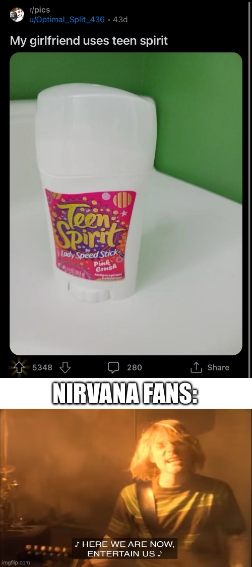 Nirvana fans, assemble! | NIRVANA FANS: | image tagged in teen spirit,nirvana,funny,memes,kurt cobain,smells like teen spirit | made w/ Imgflip meme maker