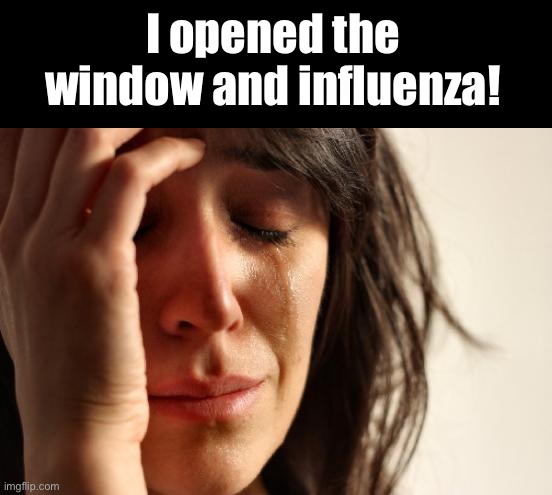 Flu | I opened the window and influenza! | image tagged in memes,first world problems | made w/ Imgflip meme maker