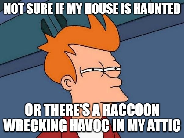 Not sure if- fry | NOT SURE IF MY HOUSE IS HAUNTED; OR THERE'S A RACCOON WRECKING HAVOC IN MY ATTIC | image tagged in not sure if- fry,meme,memes,funny | made w/ Imgflip meme maker