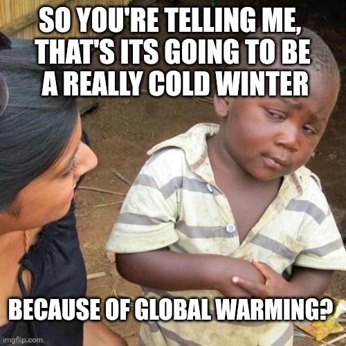 Third World Skeptical Kid Meme | SO YOU'RE TELLING ME, 
THAT'S ITS GOING TO BE
 A REALLY COLD WINTER; BECAUSE OF GLOBAL WARMING? | image tagged in memes,third world skeptical kid | made w/ Imgflip meme maker