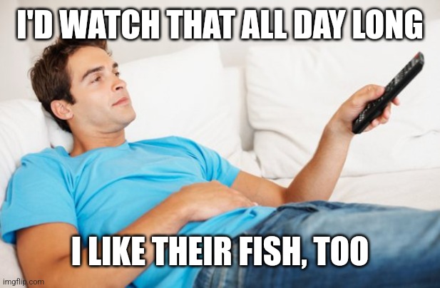 Young man watching TV | I'D WATCH THAT ALL DAY LONG I LIKE THEIR FISH, TOO | image tagged in young man watching tv | made w/ Imgflip meme maker