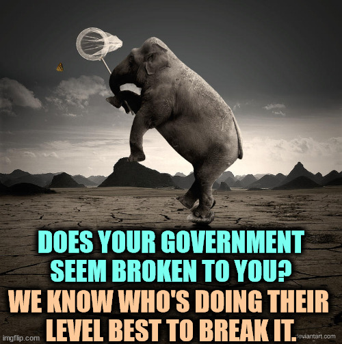 Republicans give the show, Democrats do the work. | DOES YOUR GOVERNMENT SEEM BROKEN TO YOU? WE KNOW WHO'S DOING THEIR 
LEVEL BEST TO BREAK IT. | image tagged in gop republican elephant crazy insane butterfly net,republican party,crazy,chaos,insane,anarchy | made w/ Imgflip meme maker