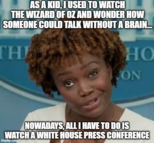 If I Only Had a Brain | AS A KID, I USED TO WATCH THE WIZARD OF OZ AND WONDER HOW SOMEONE COULD TALK WITHOUT A BRAIN... NOWADAYS, ALL I HAVE TO DO IS WATCH A WHITE HOUSE PRESS CONFERENCE | image tagged in white house press secretary | made w/ Imgflip meme maker