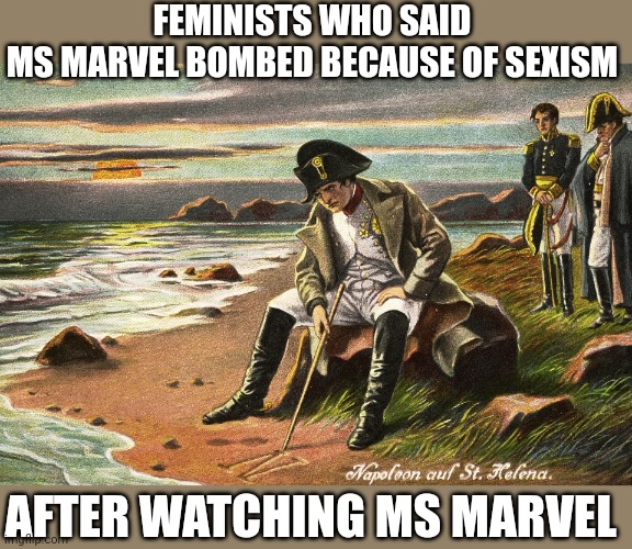 There is Nothing We Can Do | FEMINISTS WHO SAID 
MS MARVEL BOMBED BECAUSE OF SEXISM; AFTER WATCHING MS MARVEL | image tagged in there is nothing we can do | made w/ Imgflip meme maker