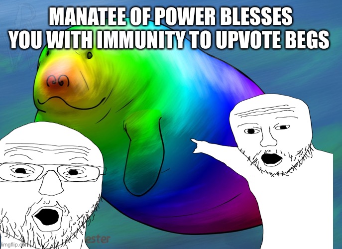 Omg | MANATEE OF POWER BLESSES YOU WITH IMMUNITY TO UPVOTE BEGS | image tagged in hue manatee | made w/ Imgflip meme maker