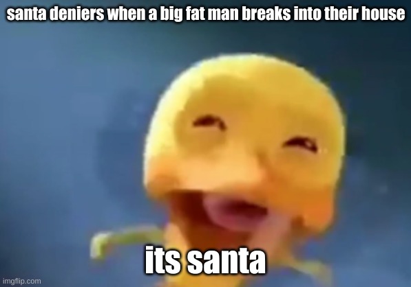 crying duck | santa deniers when a big fat man breaks into their house; its santa | image tagged in crying duck | made w/ Imgflip meme maker
