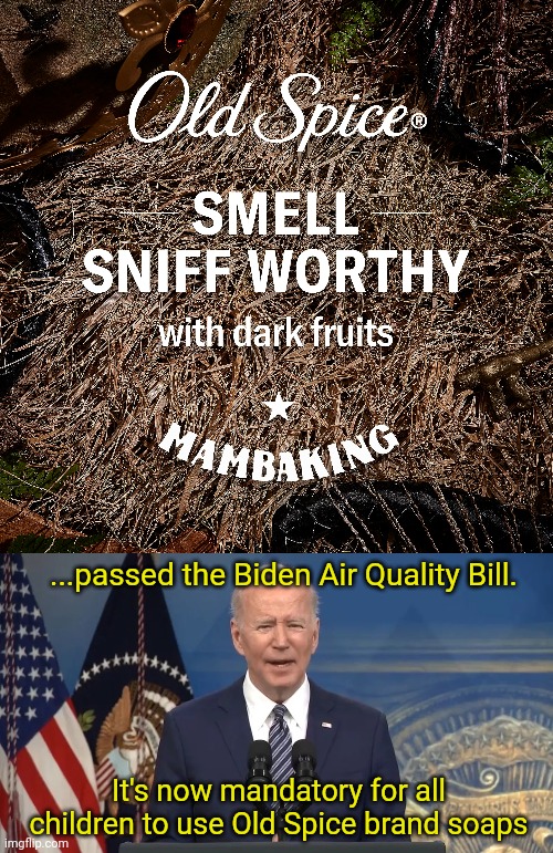 ...passed the Biden Air Quality Bill. It's now mandatory for all children to use Old Spice brand soaps | image tagged in joe biden press conference,old spice,sniff | made w/ Imgflip meme maker