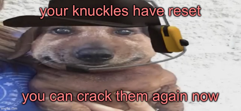 chucklenuts | your knuckles have reset; you can crack them again now | image tagged in chucklenuts | made w/ Imgflip meme maker