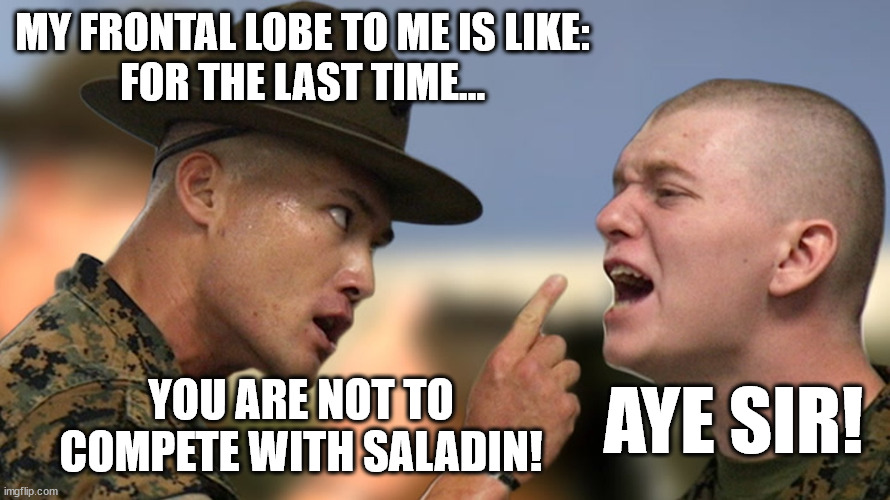 MY FRONTAL LOBE TO ME IS LIKE:
FOR THE LAST TIME... YOU ARE NOT TO COMPETE WITH SALADIN! AYE SIR! | made w/ Imgflip meme maker