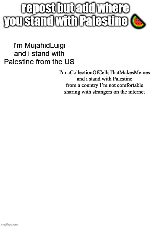 Tbf it wouldn’t be a good idea to do so, but still gotta show my solidarity | I'm aCollectionOfCellsThatMakesMemes and i stand with Palestine from a country I’m not comfortable sharing with strangers on the internet | made w/ Imgflip meme maker