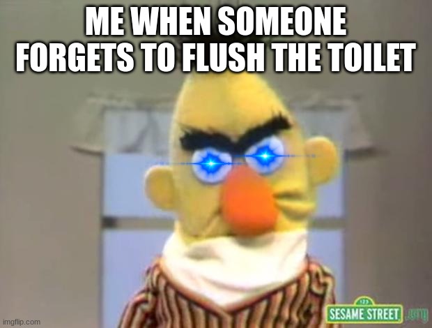 Sesame Street - Angry Bert | ME WHEN SOMEONE FORGETS TO FLUSH THE TOILET | image tagged in sesame street - angry bert,so true | made w/ Imgflip meme maker