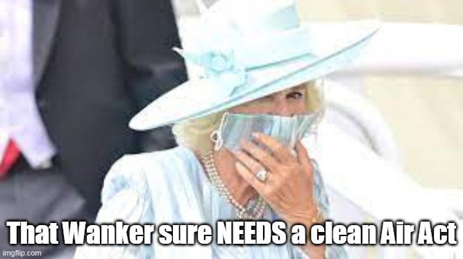 That Wanker sure NEEDS a clean Air Act | made w/ Imgflip meme maker