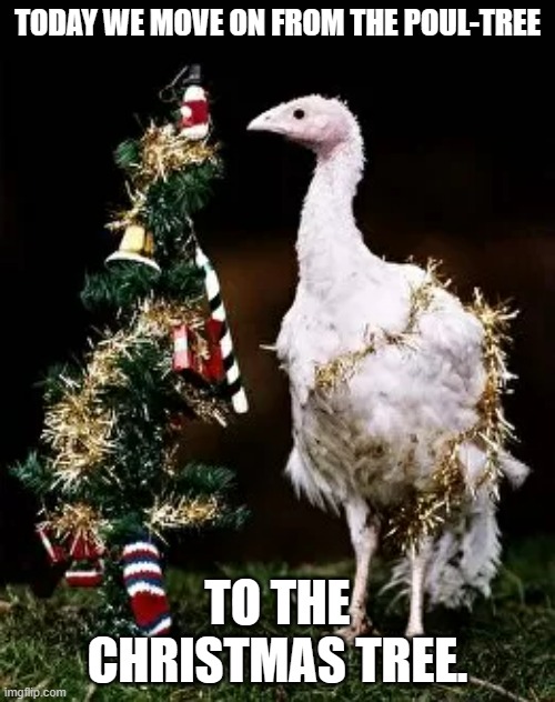 meme by Brad Christmas tree and poul-tree | TODAY WE MOVE ON FROM THE POUL-TREE; TO THE CHRISTMAS TREE. | image tagged in christmas memes | made w/ Imgflip meme maker