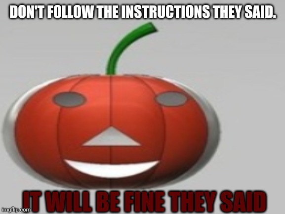 Yes | DON'T FOLLOW THE INSTRUCTIONS THEY SAID. IT WILL BE FINE THEY SAID | image tagged in memes | made w/ Imgflip meme maker