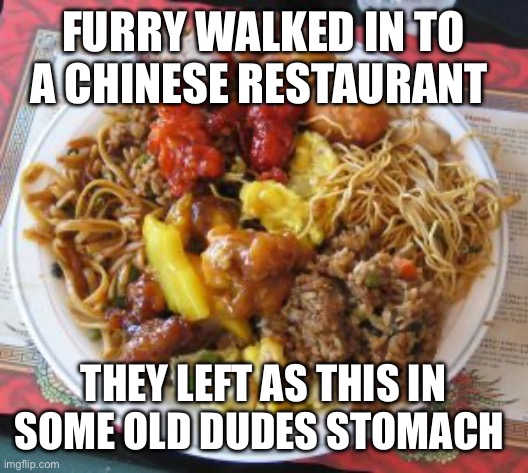 Hhahaha | FURRY WALKED IN TO A CHINESE RESTAURANT; THEY LEFT AS THIS IN SOME OLD DUDES STOMACH | image tagged in chinese food | made w/ Imgflip meme maker