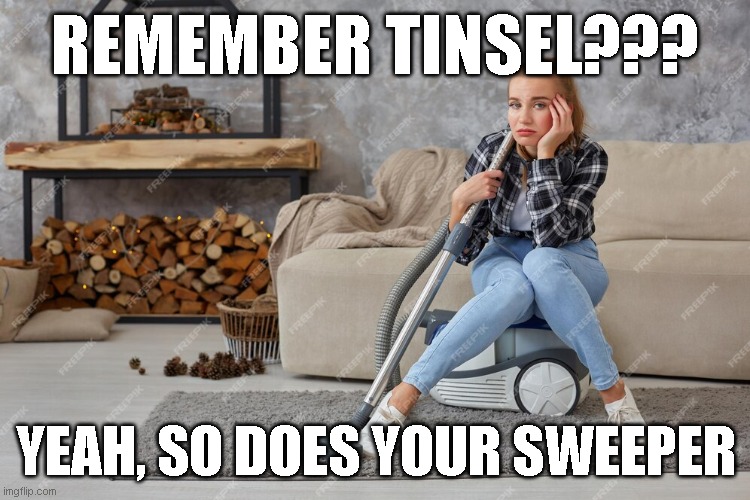 REMEMBER TINSEL??? YEAH, SO DOES YOUR SWEEPER | image tagged in fun,funny memes | made w/ Imgflip meme maker