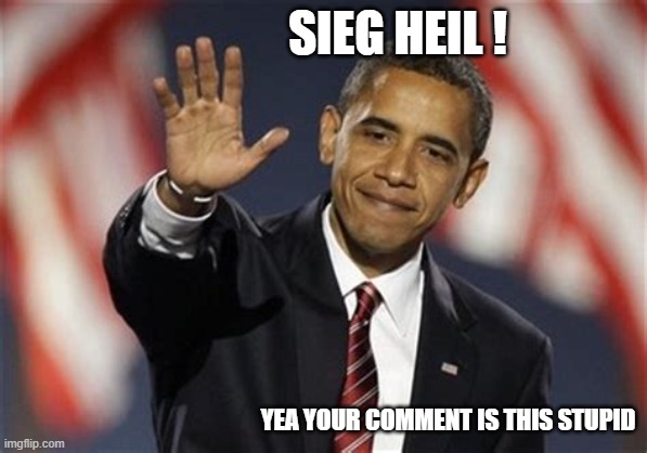 SIEG HEIL ! YEA YOUR COMMENT IS THIS STUPID | made w/ Imgflip meme maker
