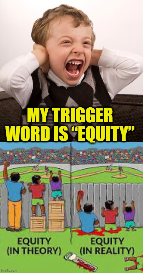 Equity sinks all boats | MY TRIGGER WORD IS “EQUITY” | image tagged in socialism | made w/ Imgflip meme maker
