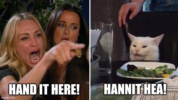 Angry lady cat | HAND IT HERE! HANNIT HEA! | image tagged in angry lady cat | made w/ Imgflip meme maker
