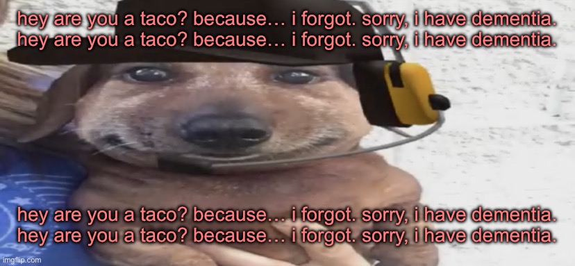 chucklenuts | hey are you a taco? because… i forgot. sorry, i have dementia.
hey are you a taco? because… i forgot. sorry, i have dementia. hey are you a taco? because… i forgot. sorry, i have dementia.
hey are you a taco? because… i forgot. sorry, i have dementia. | image tagged in chucklenuts | made w/ Imgflip meme maker