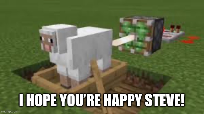 I HOPE YOU’RE HAPPY STEVE! | made w/ Imgflip meme maker
