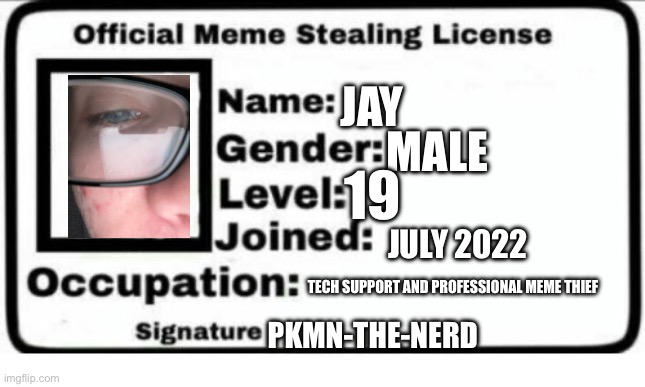 Shenanigans | MALE; JAY; 19; JULY 2022; TECH SUPPORT AND PROFESSIONAL MEME THIEF; PKMN-THE-NERD | image tagged in official meme stealing license | made w/ Imgflip meme maker