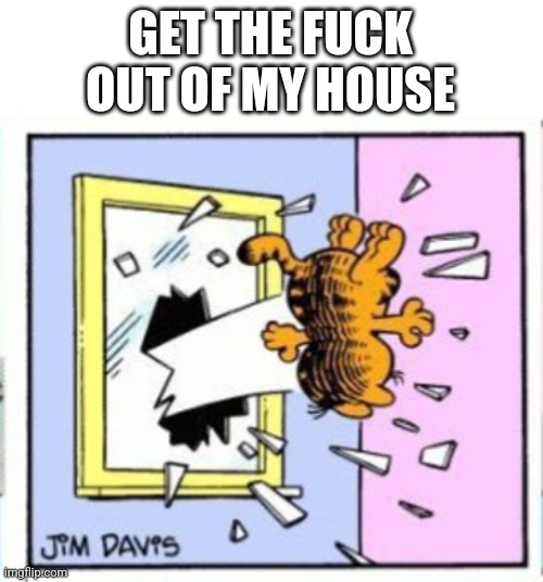 Garfield gets thrown out of a window | GET THE FUCK OUT OF MY HOUSE | image tagged in garfield gets thrown out of a window | made w/ Imgflip meme maker