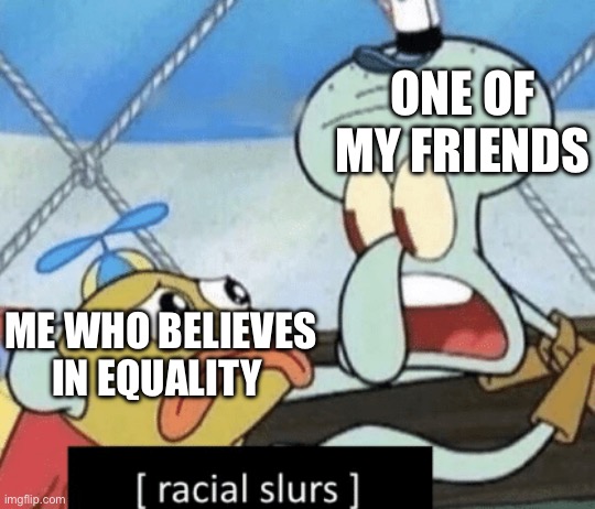 racial slurs | ONE OF MY FRIENDS; ME WHO BELIEVES IN EQUALITY | image tagged in racial slurs | made w/ Imgflip meme maker