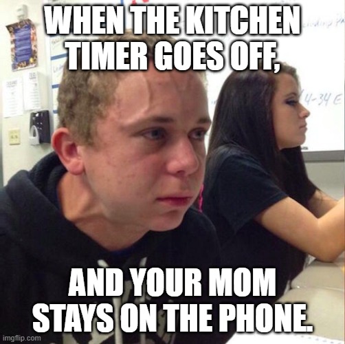 Kitchen timer. | WHEN THE KITCHEN TIMER GOES OFF, AND YOUR MOM STAYS ON THE PHONE. | image tagged in angery boi | made w/ Imgflip meme maker