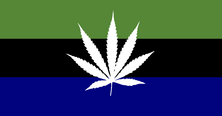 Flag Of TheCreativeKid1999 Blank Meme Template