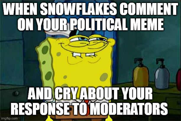 Snowflakes | WHEN SNOWFLAKES COMMENT ON YOUR POLITICAL MEME; AND CRY ABOUT YOUR RESPONSE TO MODERATORS | image tagged in memes,don't you squidward,politics,response,snowflakes | made w/ Imgflip meme maker