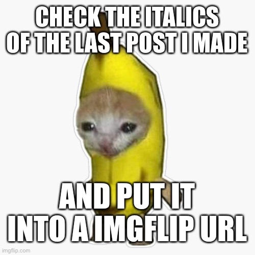 bazinga here’s a hint | CHECK THE ITALICS OF THE LAST POST I MADE; AND PUT IT INTO A IMGFLIP URL | image tagged in banana cat | made w/ Imgflip meme maker