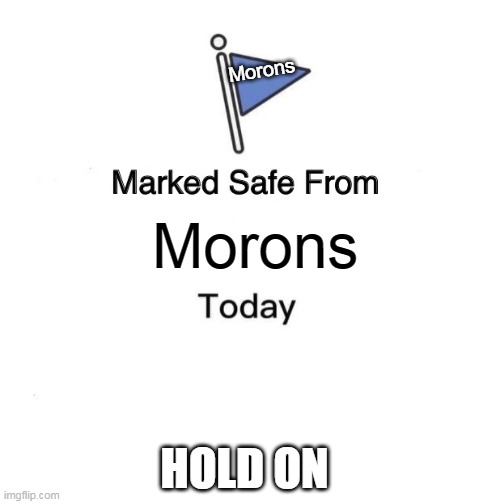 Morons | Morons; Morons; HOLD ON | image tagged in memes,marked safe from,funny,morons,wait what | made w/ Imgflip meme maker