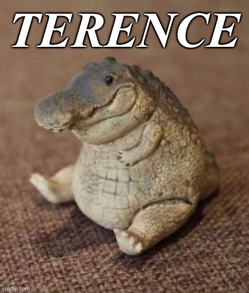 Terence | TERENCE | image tagged in thicc,fat | made w/ Imgflip meme maker