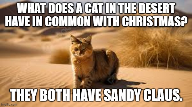 meme by Brad cat in desert and Christmas | WHAT DOES A CAT IN THE DESERT HAVE IN COMMON WITH CHRISTMAS? THEY BOTH HAVE SANDY CLAUS. | image tagged in christmas memes | made w/ Imgflip meme maker