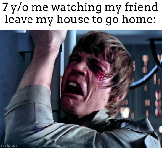 Nooo | 7 y/o me watching my friend leave my house to go home: | image tagged in nooo | made w/ Imgflip meme maker